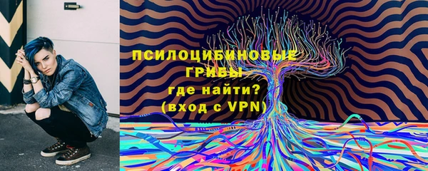 бошки Армянск