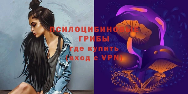 бошки Армянск