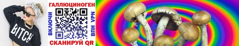 OMG вход  Усинск  Галлюциногенные грибы MAGIC MUSHROOMS 